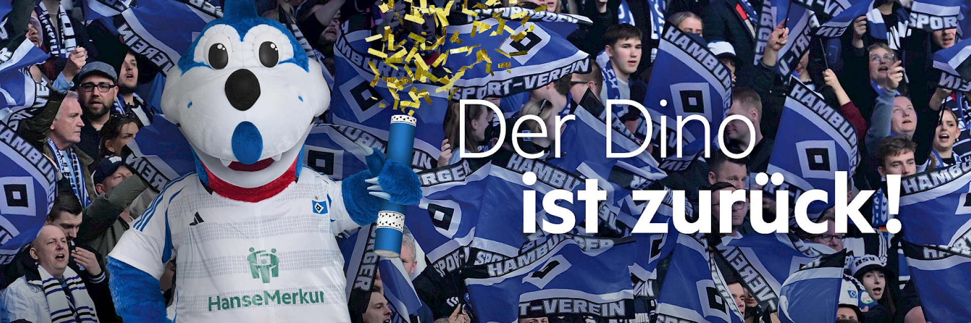 Header HSV aufstieg