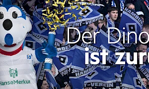 Header-News-HSV-Aufstieg.jpg