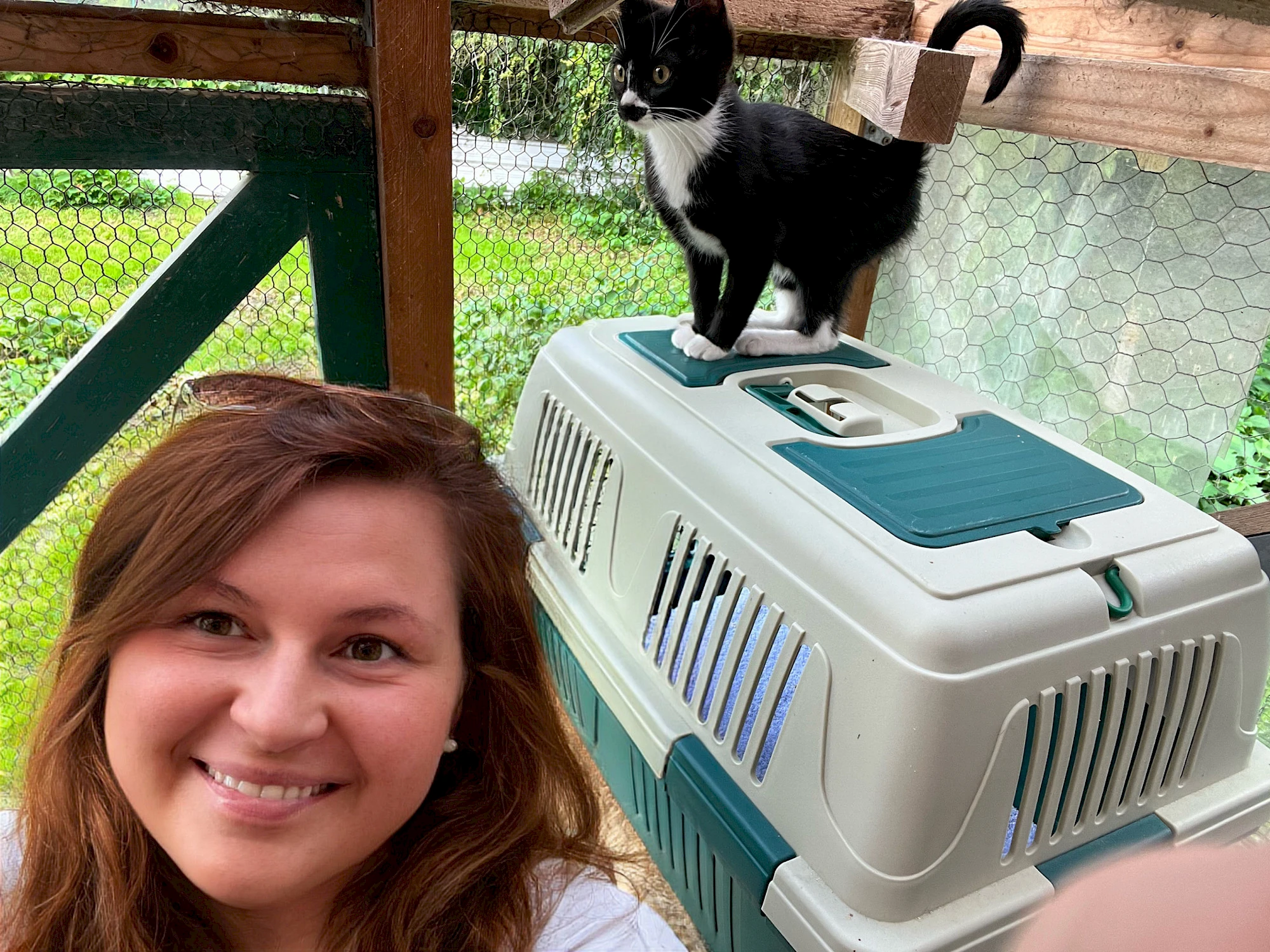 Dorothea Pinker liebt Katzen und engagiert sich ehrenamtlich im Tierschutzverein