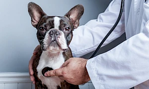 iStock-1211386760 (2)_preview.jpg