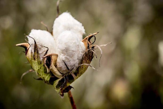 Nachhaltigkeit und CSR bei der HanseMerkur: Wie wir mit diesen Themen umgehen, wissen Sie nicht nur durch das Lesen dieses Blogs. Aber was machen eigentlich unsere Kooperationspartner in diesen Bereichen?