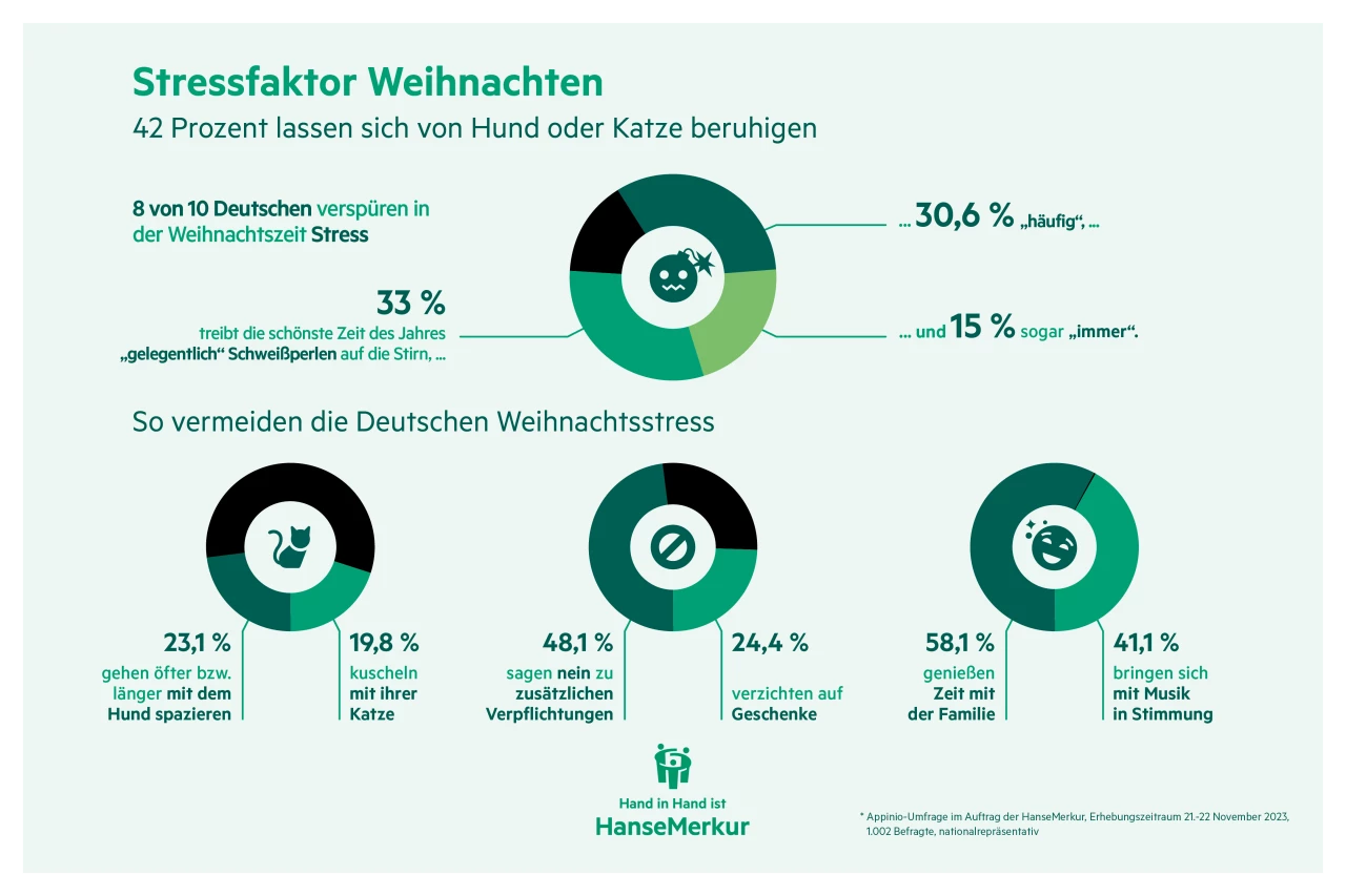 Infografik Weihnachtsstress
